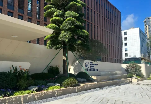 深圳蛇口貝賽思國際學校學校特色和升學成績