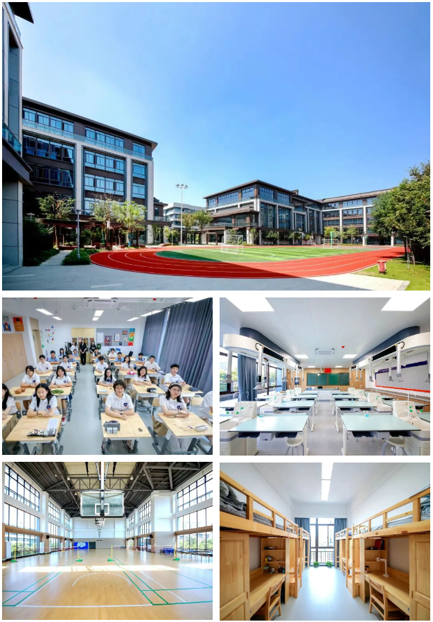 杭州維翰學校國際部2025年秋季招生簡章！